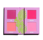 MINI BLURSH BOOK - LIVING IN PINK