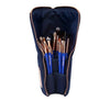 GOLDEN TRIANGLE EYES ONLY COMPLETE 15pc BRUSH SET WITH POUCH - VALUED AT $396